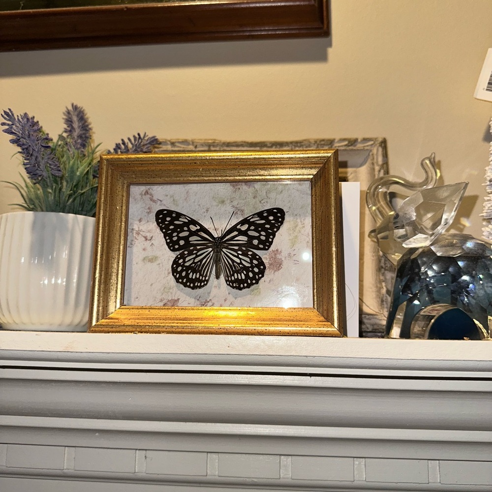 Gold Framed Butterfly Art